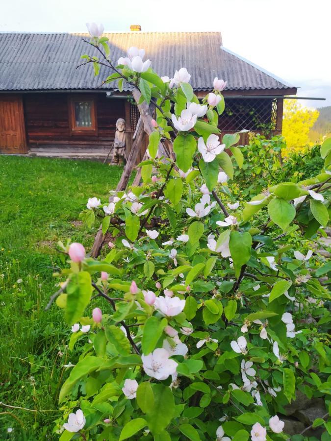 Starovitska Hata - Ethno-Cottage Werchowyna Exterior foto