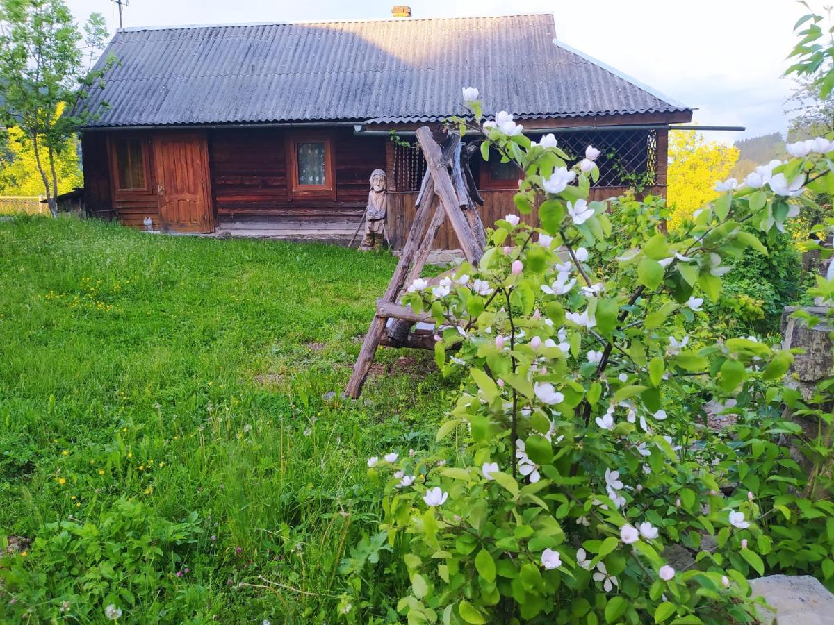 Starovitska Hata - Ethno-Cottage Werchowyna Exterior foto