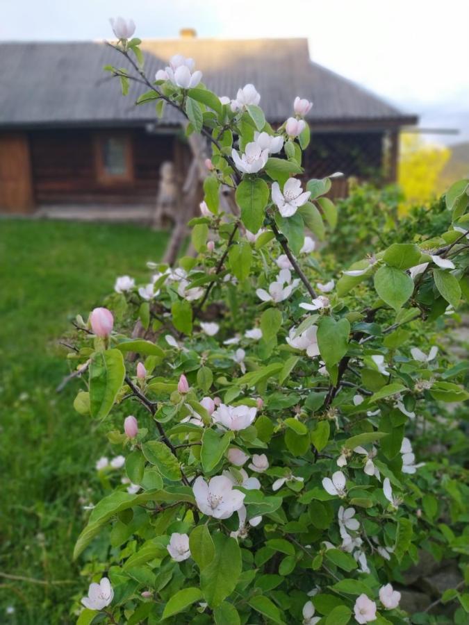 Starovitska Hata - Ethno-Cottage Werchowyna Exterior foto