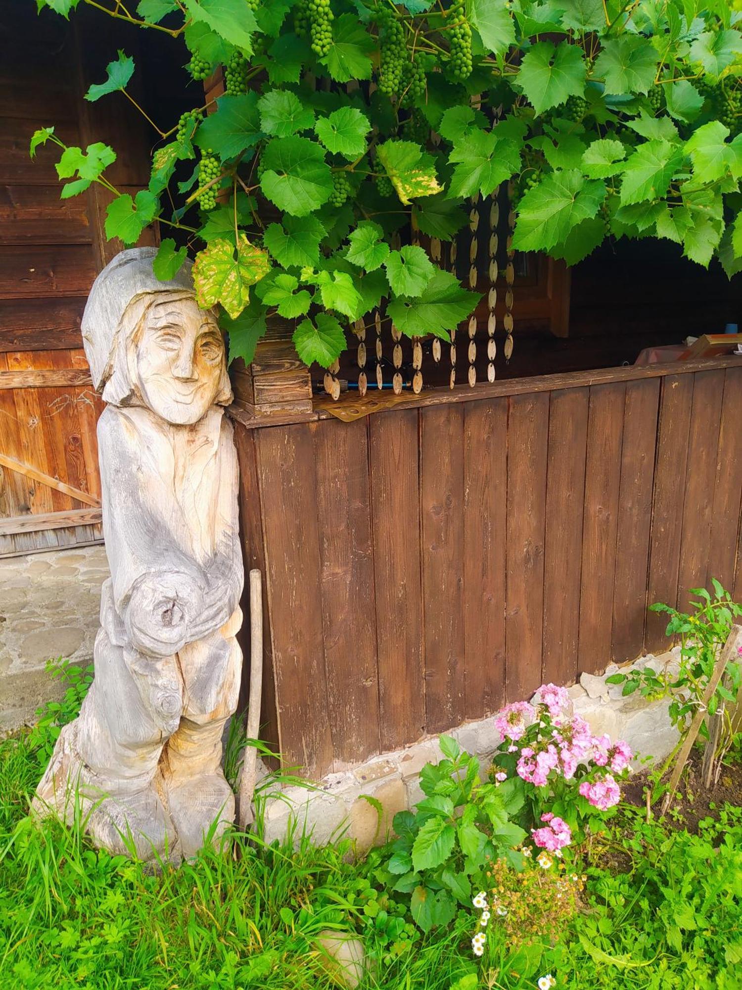 Starovitska Hata - Ethno-Cottage Werchowyna Exterior foto